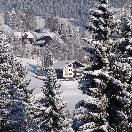 Cozy Apartment In Afritz Am See Near Gerlitzen Ski Area Ngoại thất bức ảnh